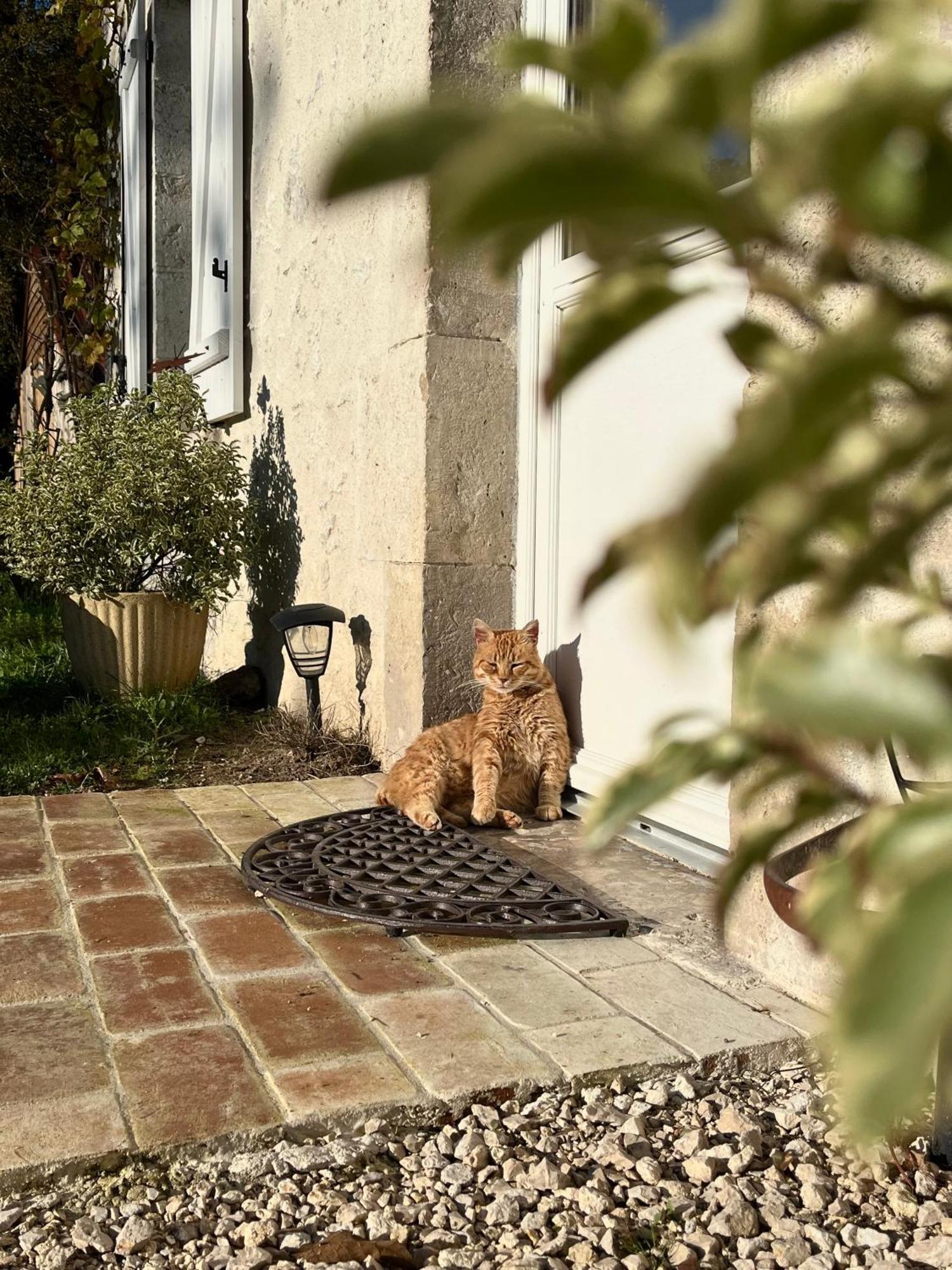 Maison Moz Fontaines-en-Sologne Exterior photo